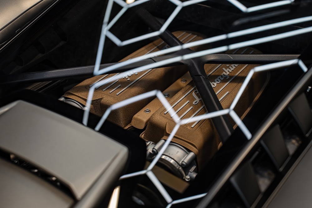Tan leather Performante interior under hexagon lighting
